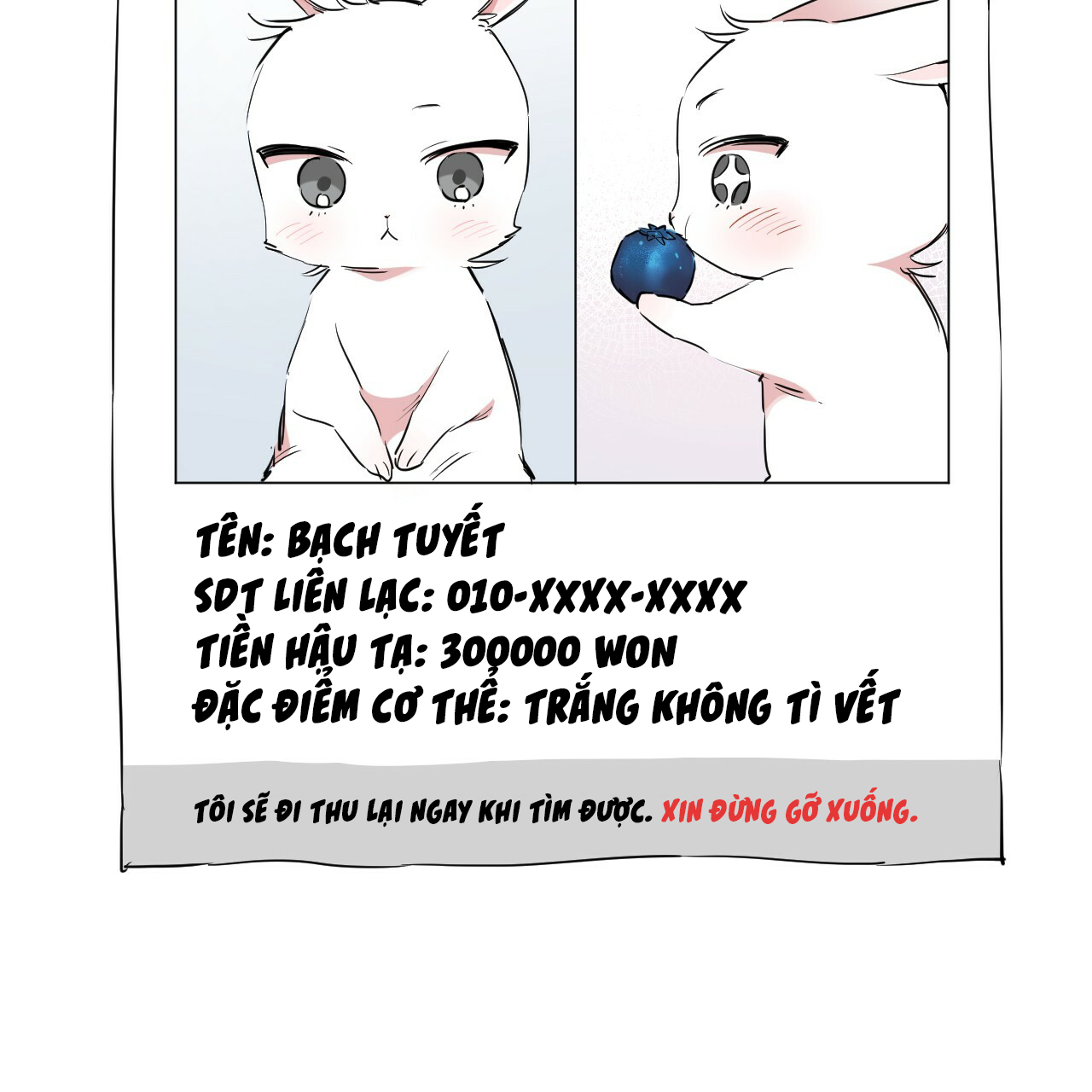 những chú thỏ của hapypy chapter 20 68