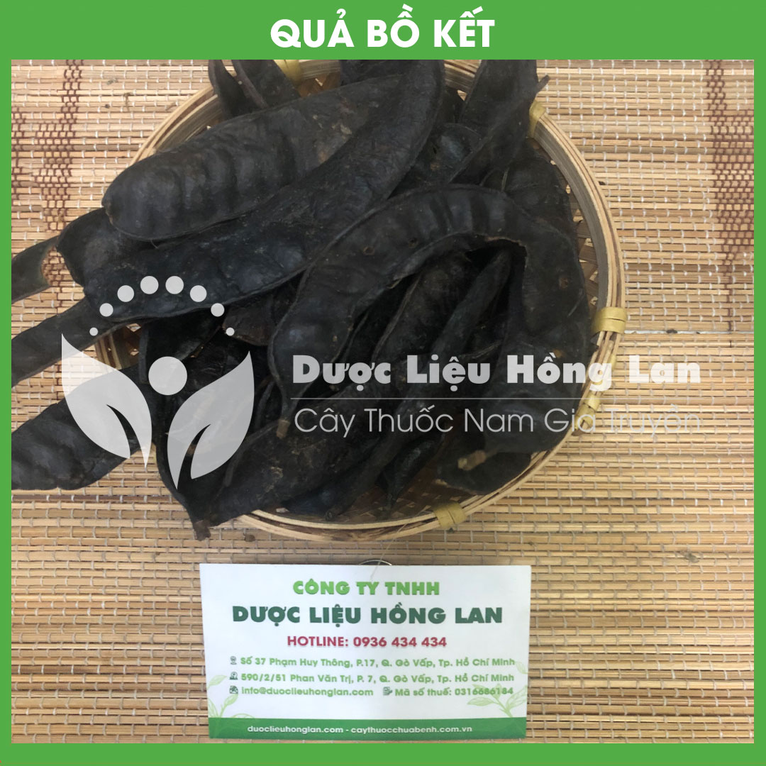 1kg quả bồ kết khô sạch