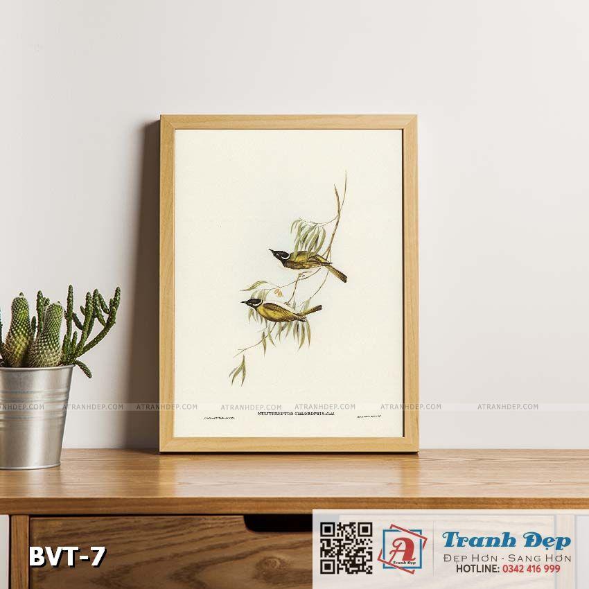 Tranh canvas vintage - Chim ăn mật sông Swan (Melithreptus chloropsis) - BVT-7