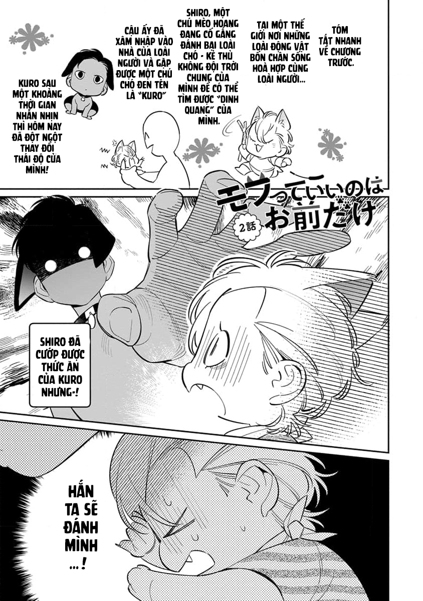 mềm mại xinh đẹp đều là em chapter 2 2