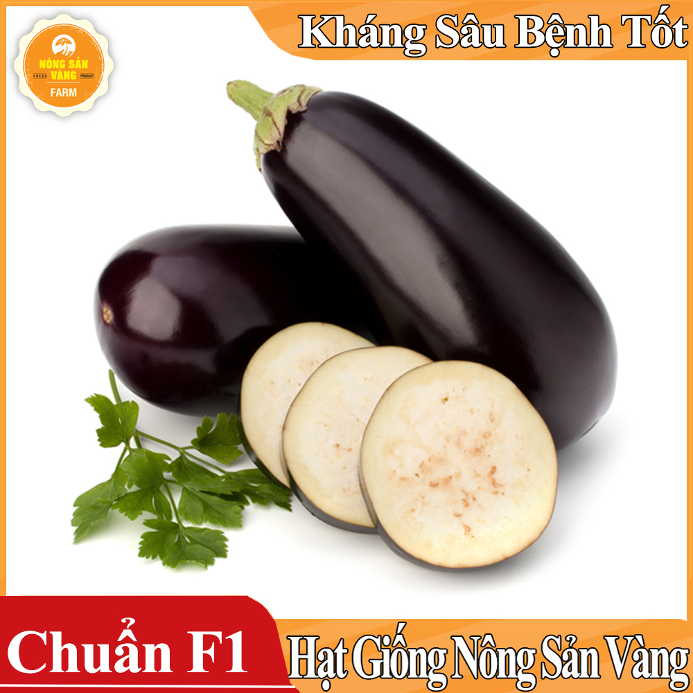 Hạt giống Cà Tím Quả Lê - Nông Sản Vàng