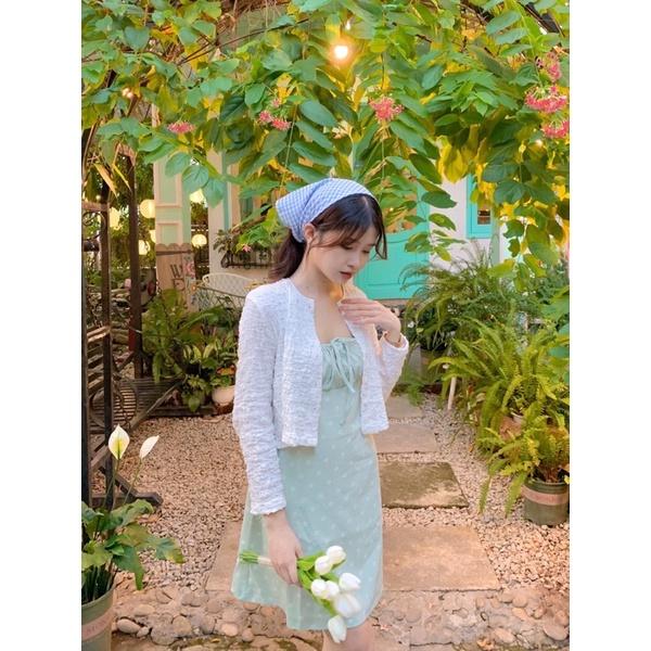 AIMEE_ĐẦM HAI DÂY HOA NHÍ