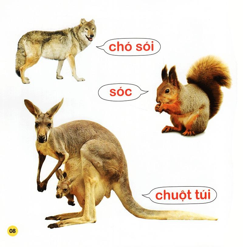 100 Từ Đầu Đời Của Bé: Con Vật (Tái Bản 2023)