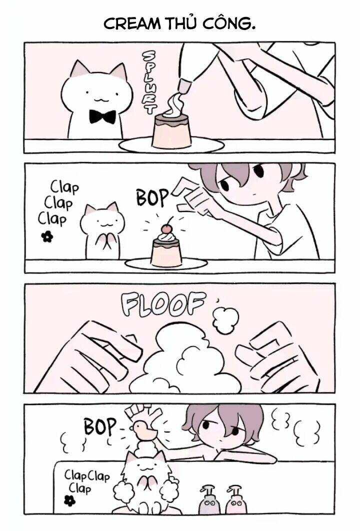 chú mèo kỳ diệu kyuu-chan chapter 664 3