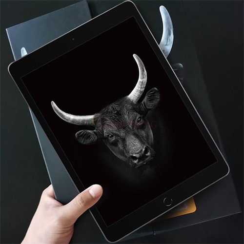 Dán màn hình cường lực MiPow Kingbull HD Premium 2.5D iP Pro 10.2/11/12.9 inch - Hàng chính hãng