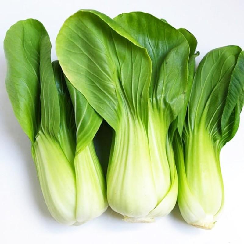 Hạt giống Cải Thìa ,Cải Chip, thu hoạch sớm, dễ trồng, nảy mầm cao, sinh trưởng khoẻ