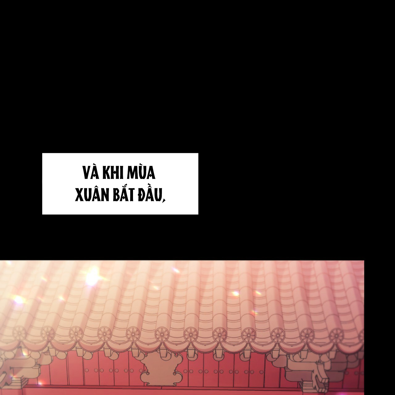 những chú thỏ của hapypy chapter 1 94