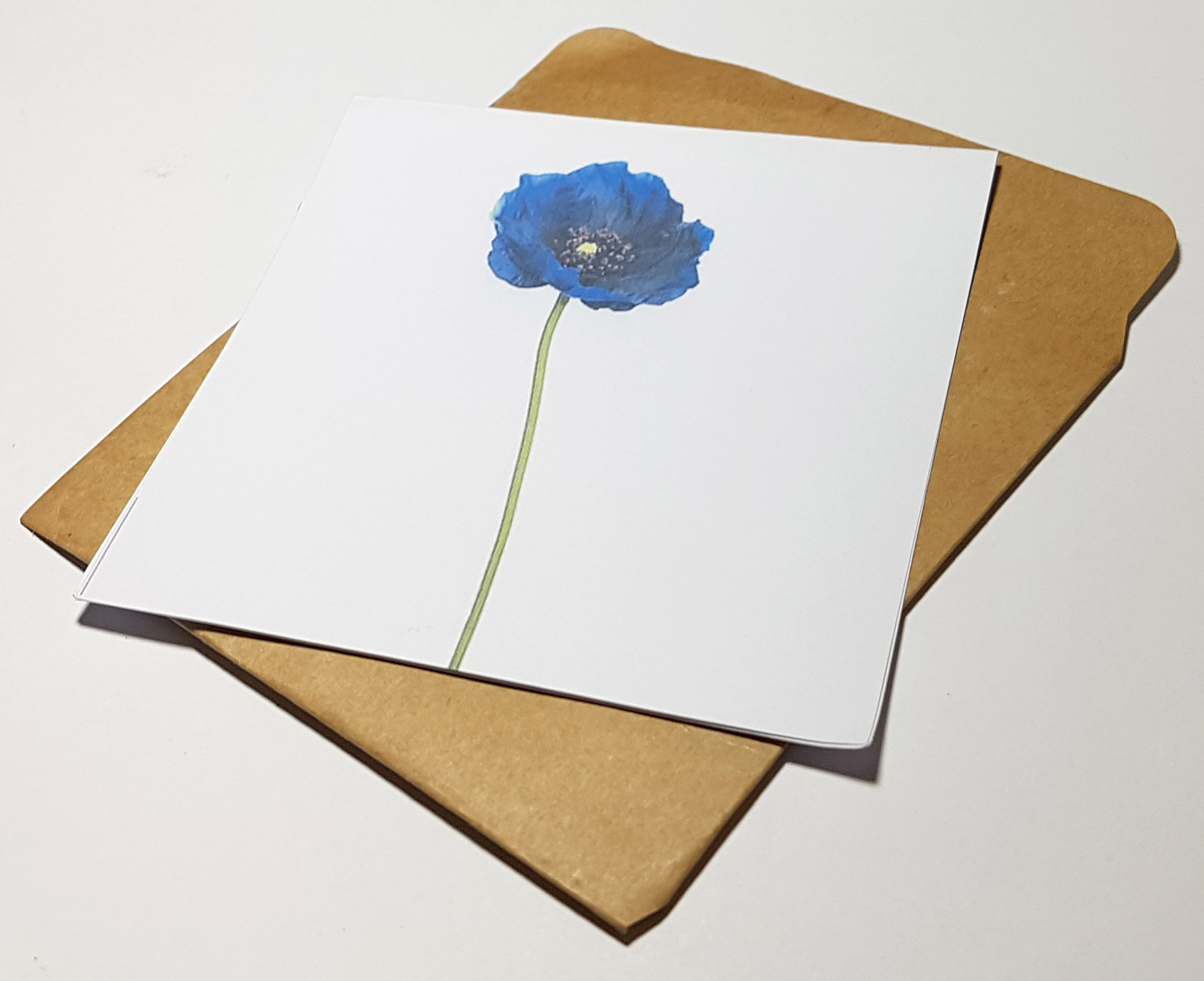 Thiệp phong cách Vintage card quà cám ơn ,chúc mừng sinh nhật và giử tặng người thân yêu.
