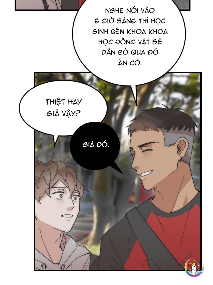 đàn anh “sói ca” cùng phòng của tôi chapter 18 32