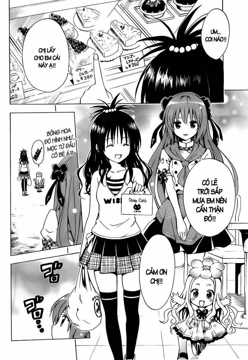 mayoi neko overrun! chapter 1 38