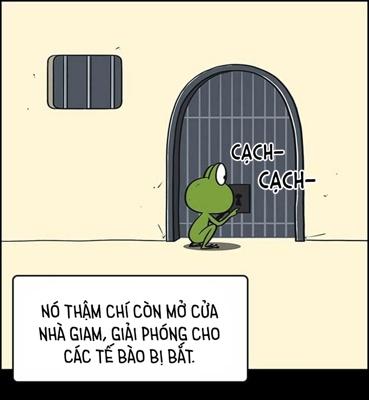 yumis cells chapter 56 25