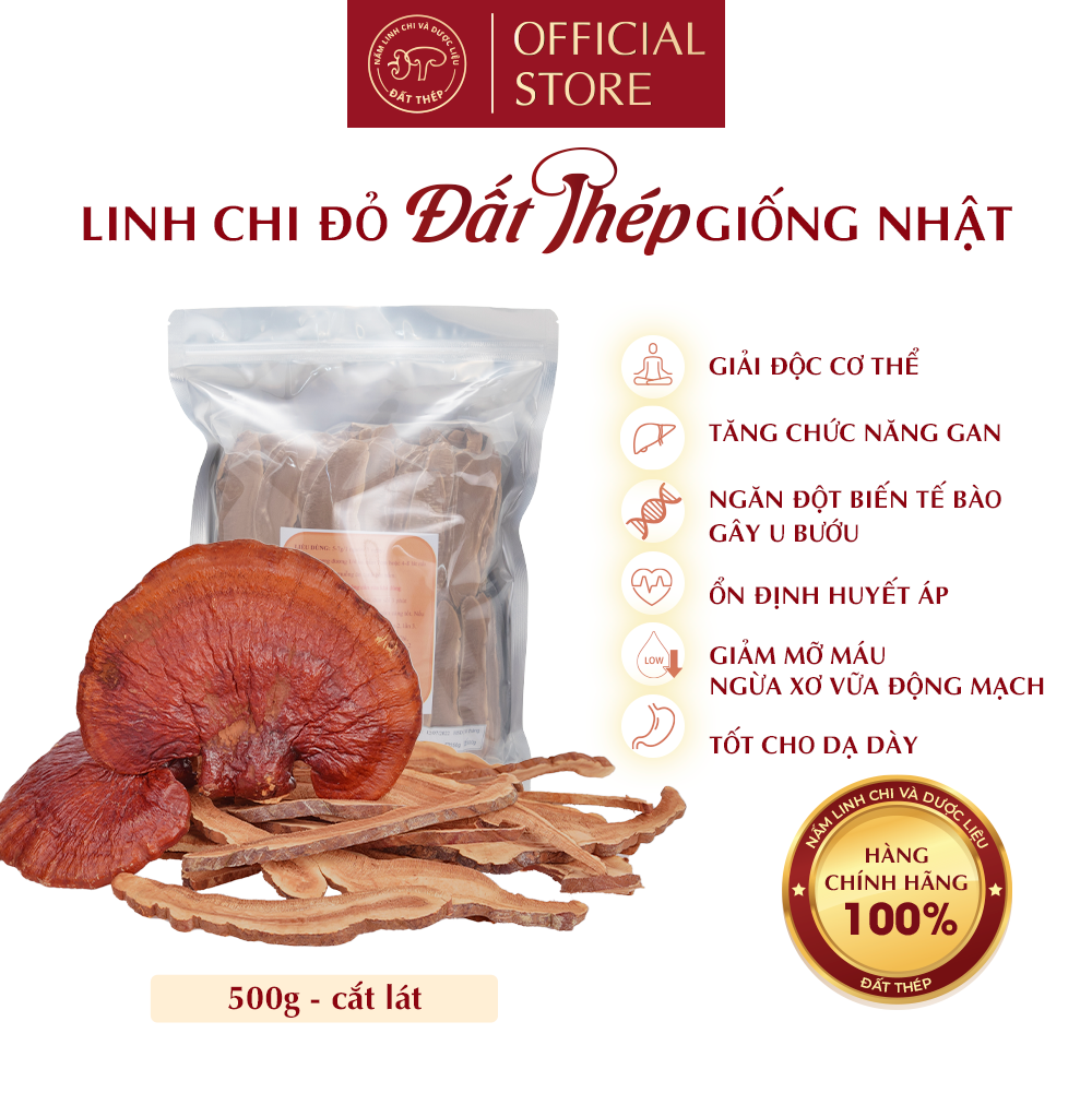 Trà Nấm Linh Chi Đỏ Đất Thép Giống Nhật 500g - Giải độc gan - Ổn định đường huyết