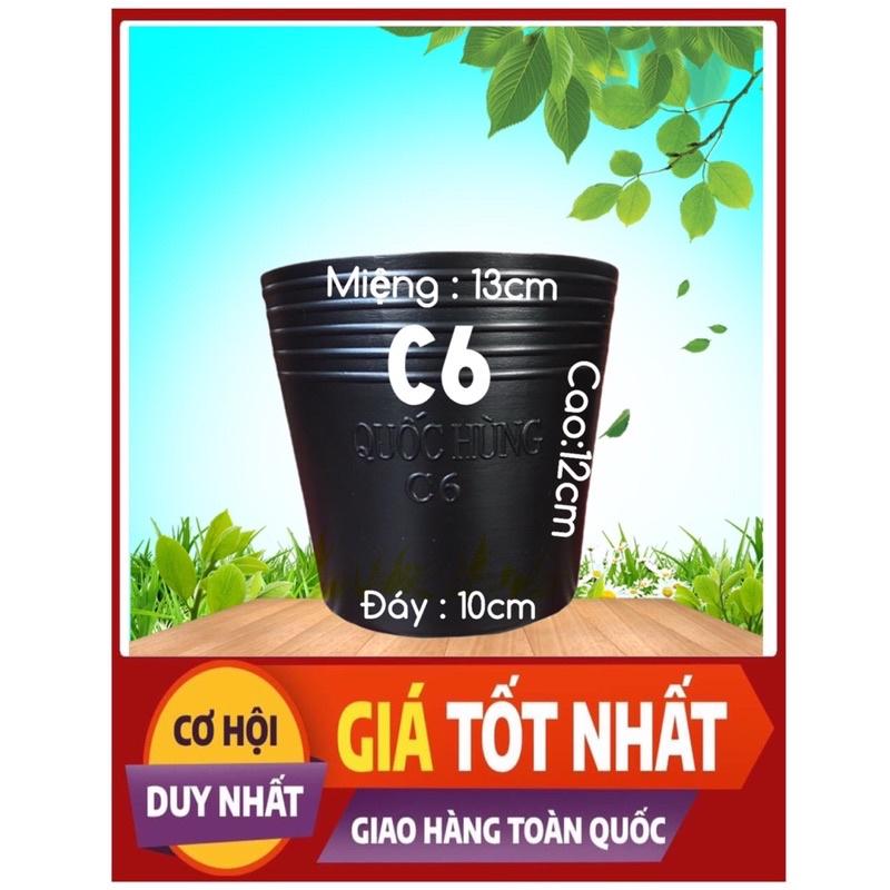 Combo 100 chậu trồng cây,trồng hoa,trồng rau C6 giá tại xưởng