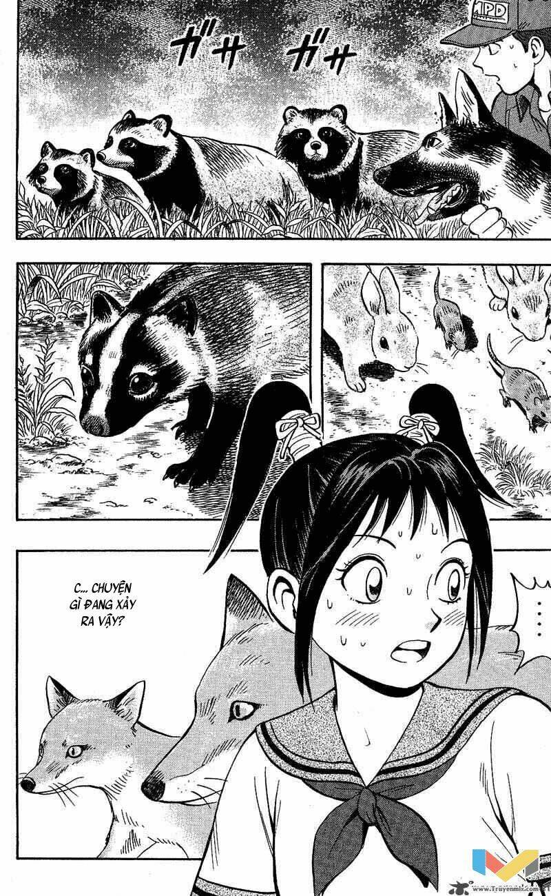 animal sense chapter 13 29
