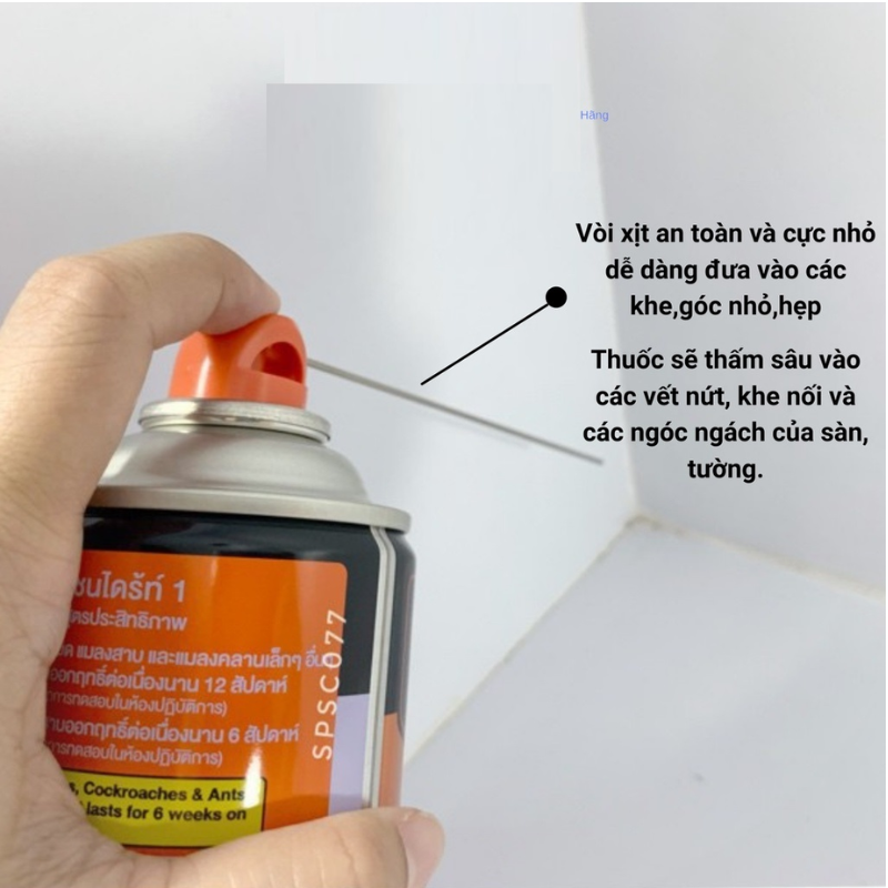 Bình Xịt Diệt Mối Thái Lan