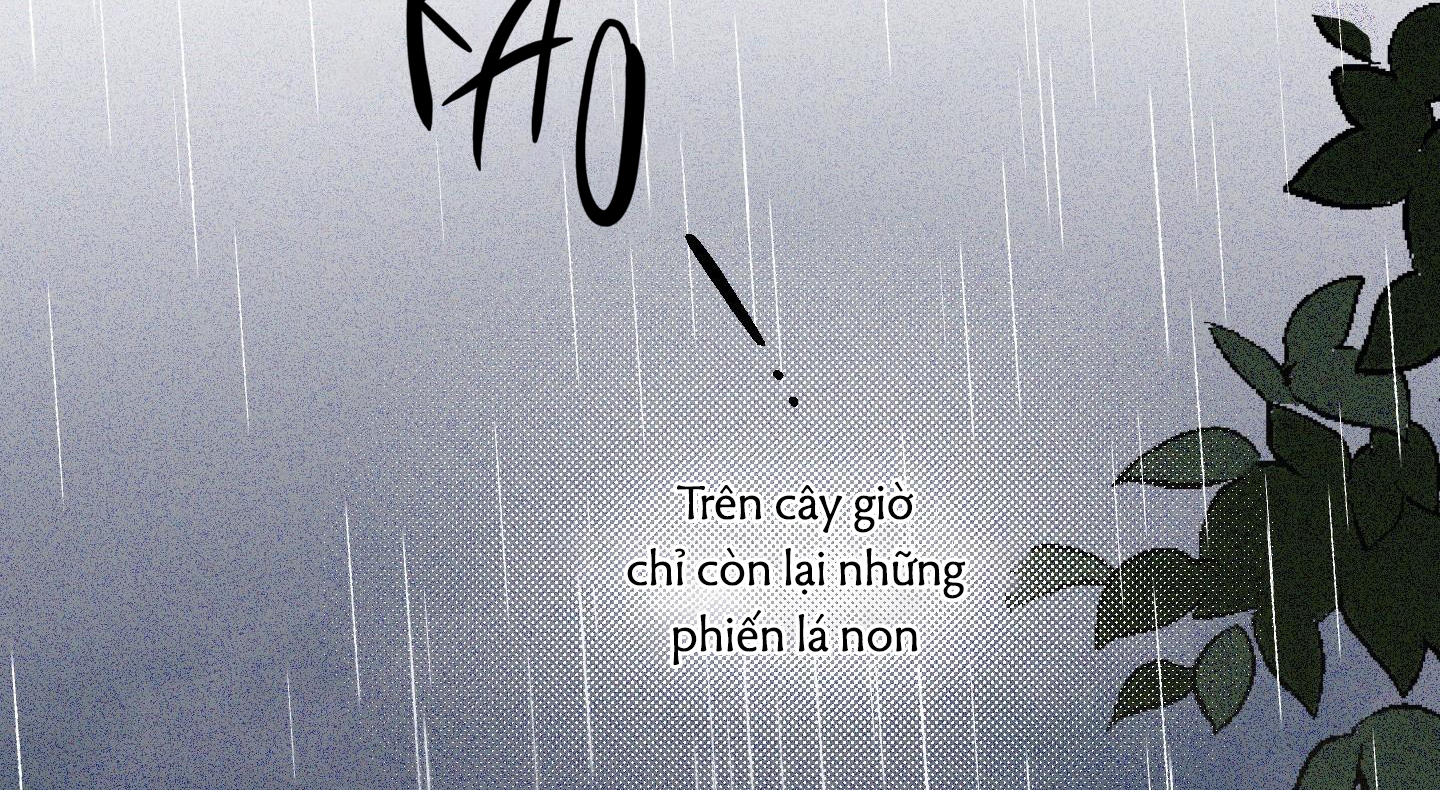 định rõ mối quan hệ chapter 50 272
