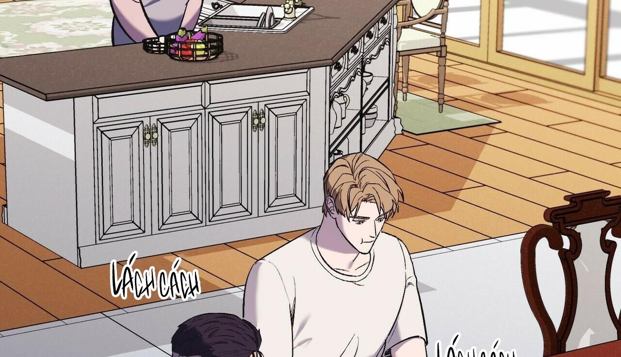 chàng dâu nhà họ kang chapter 26 43