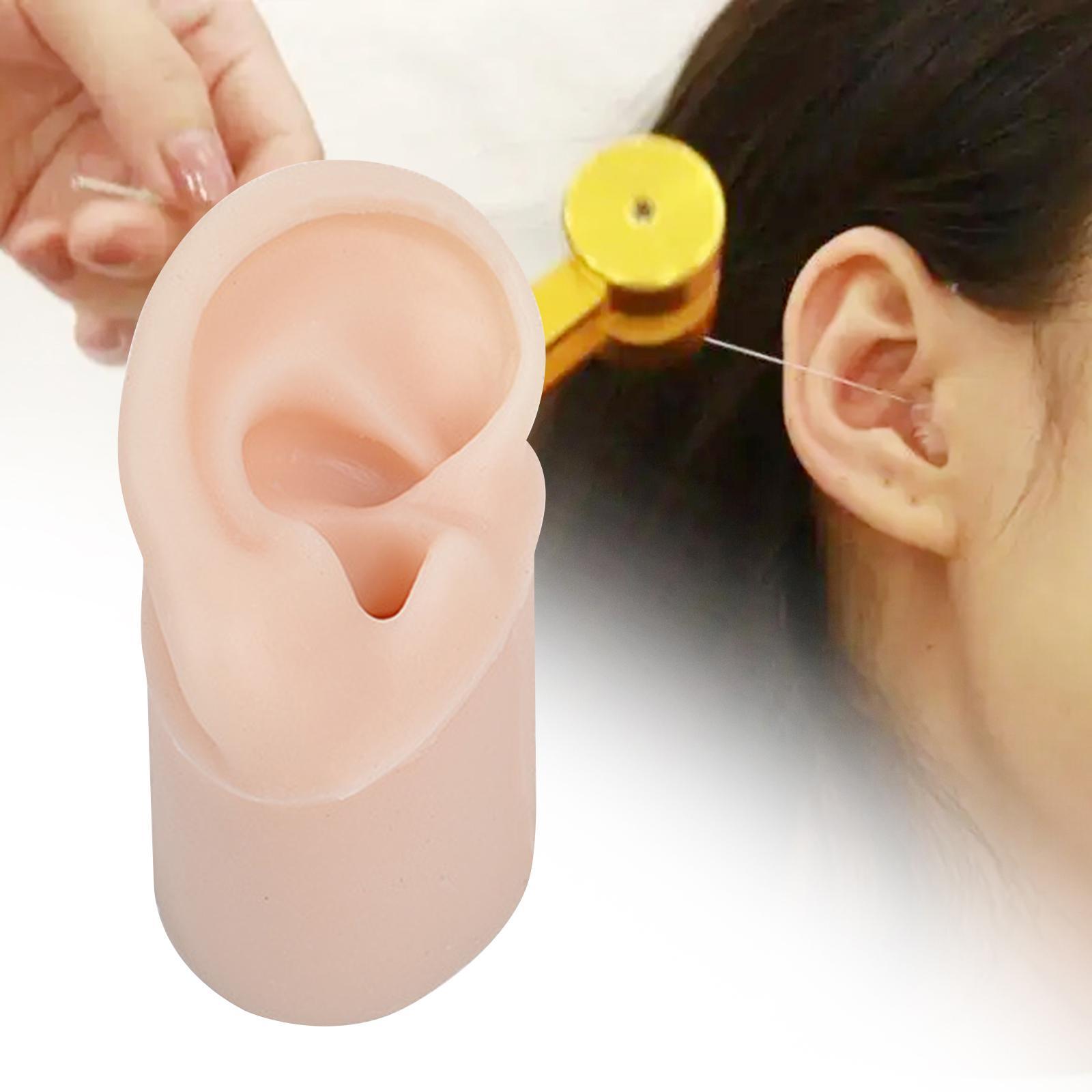 Simulated Silicone Ear Model, Delicate Texture Simulation with Base Display Props