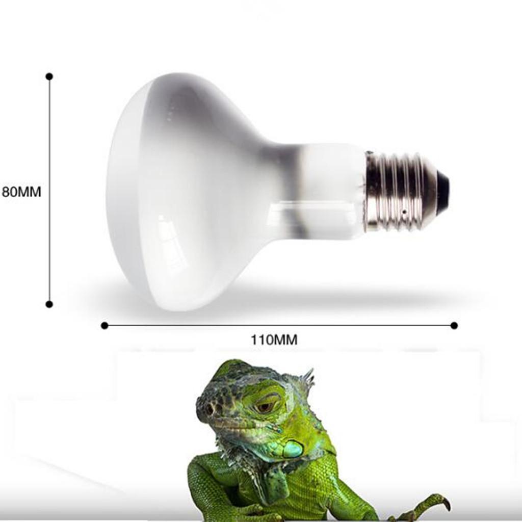2 pcs 50W/75W Tortoise Reptile Vivarium Light UVA Basking Lamp Heat Bulb