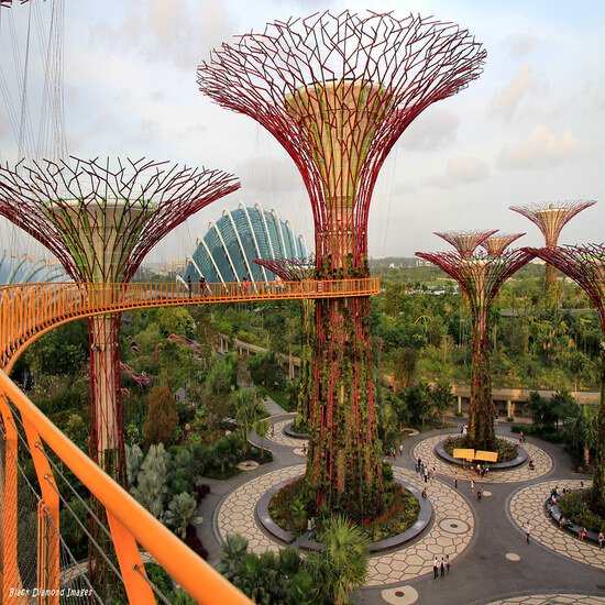 Hình ảnh [EVoucher Vietravel]Singapore 4 ngày 3 đêm (Tham quan Flower Dome, Cloud Forest, tặng trải nghiệm Sky Helix ngắm toàn cảnh 360 độ Sentosa, khách sạn 3 sao)