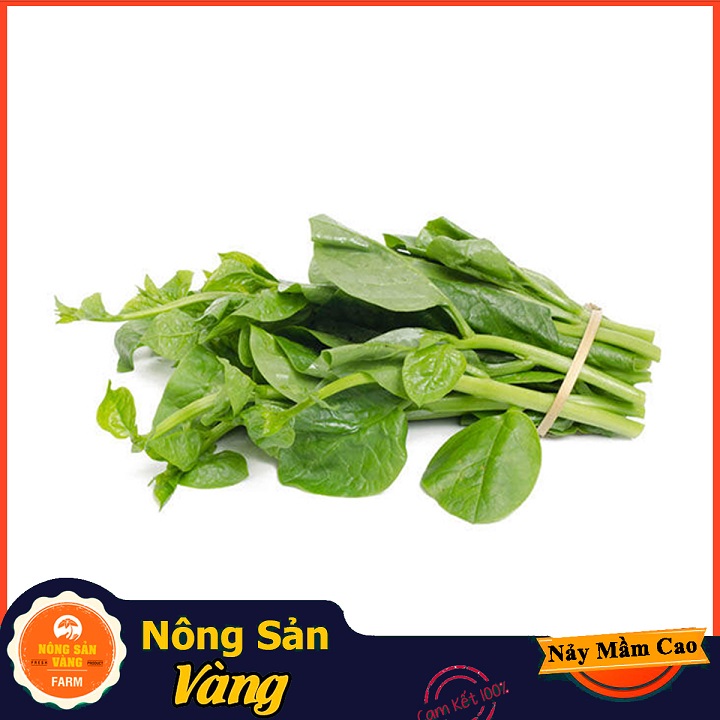 Hạt giống Mồng Tơi Xanh - Nông Sản Vàng