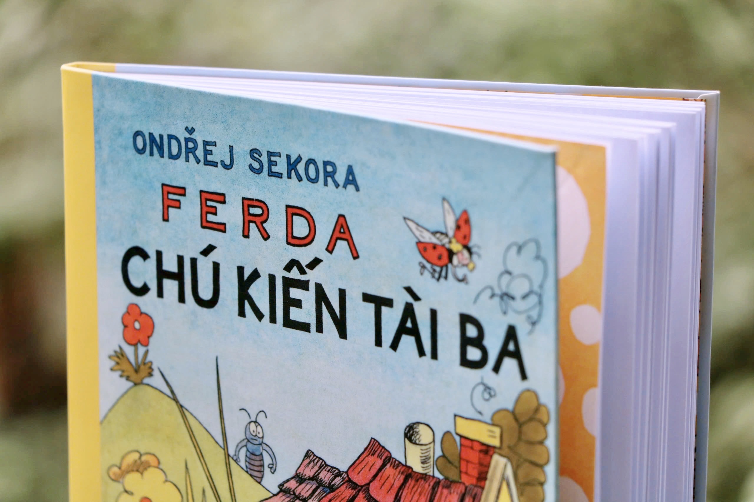 Sách Ferda – Chú kiến tài ba | Sách thiếu nhi | Truyện dài thiếu nhi | San Hô Kids