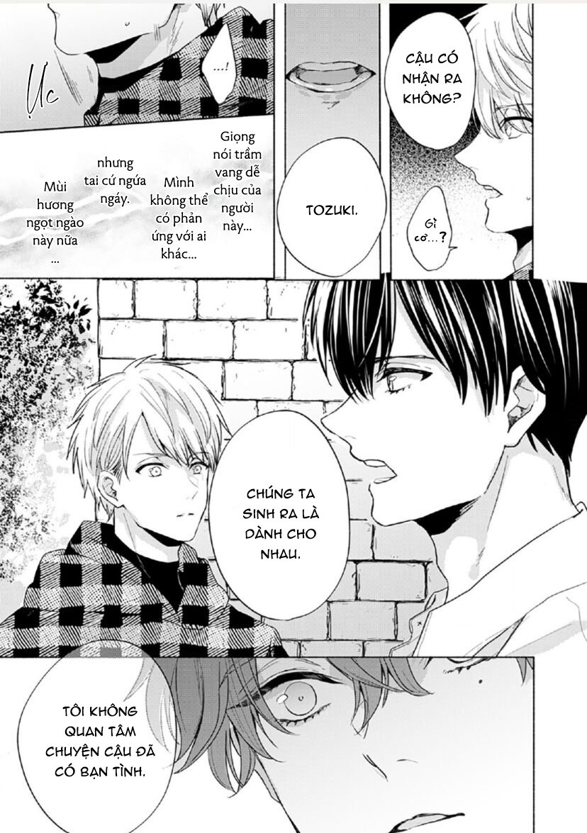 vết cắn tình đầu chapter 4 23