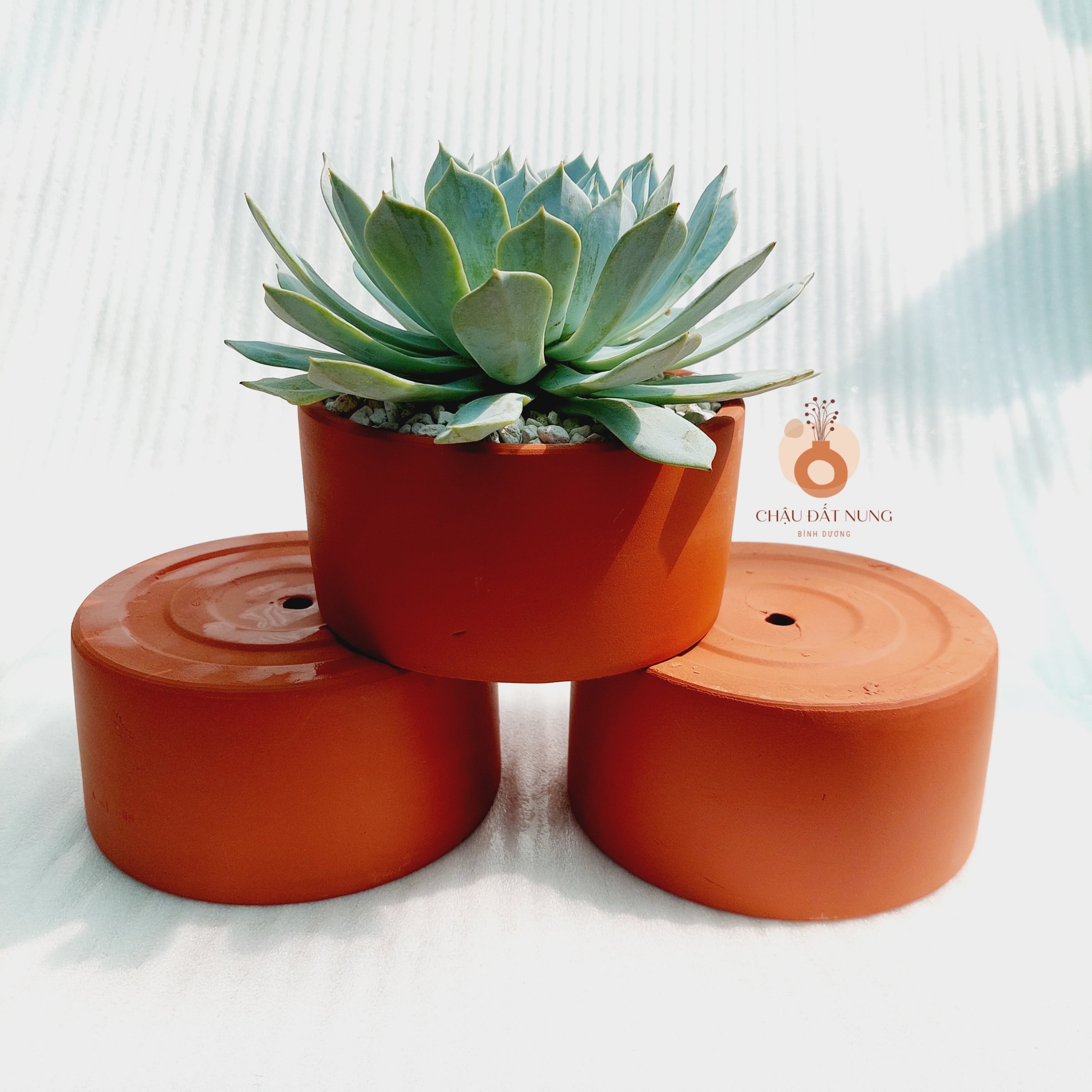 Chậu đất nung Bình Dương - Trụ 147, miệng chậu 14cm, chiều cao 7cm