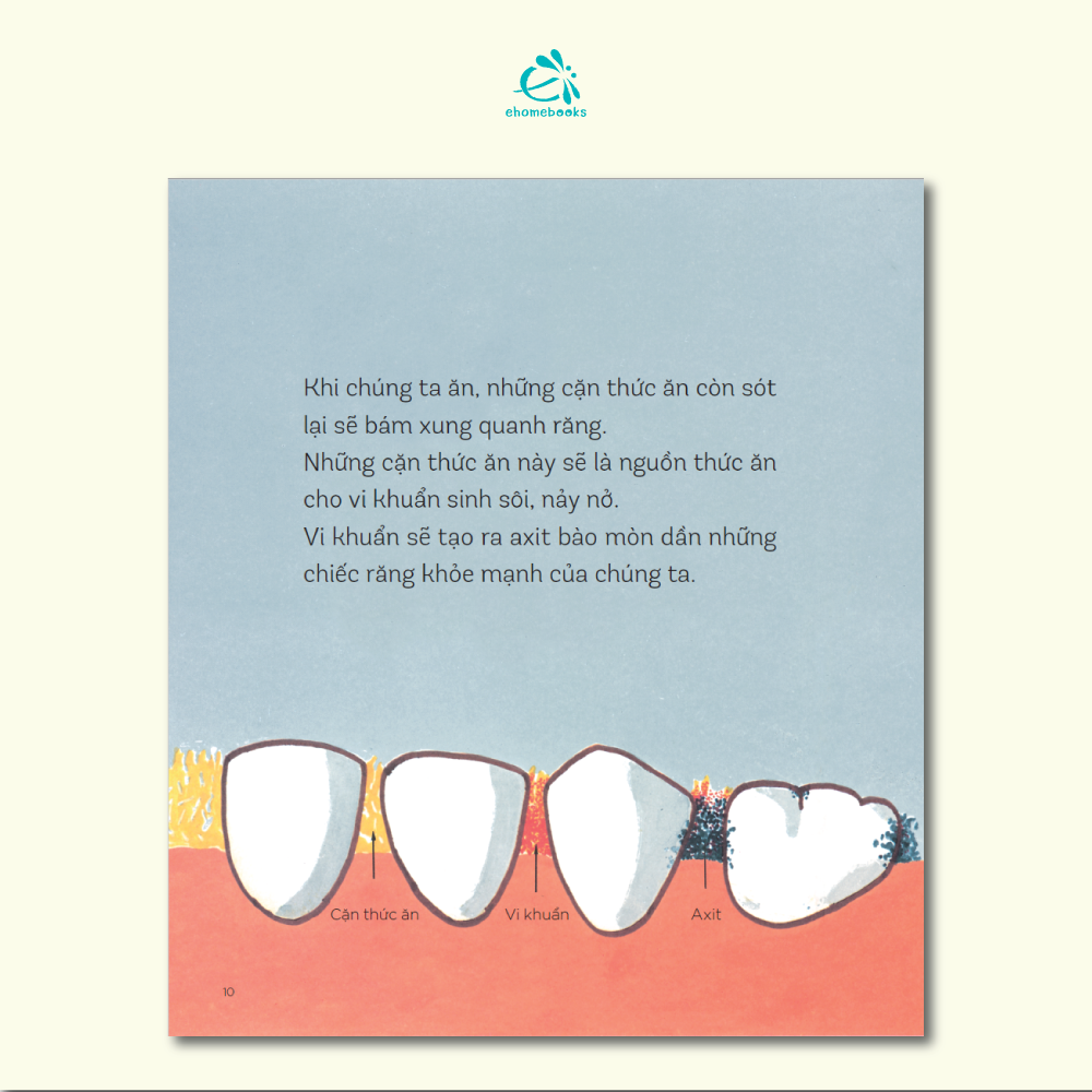 Chuyện Những Chiếc Răng