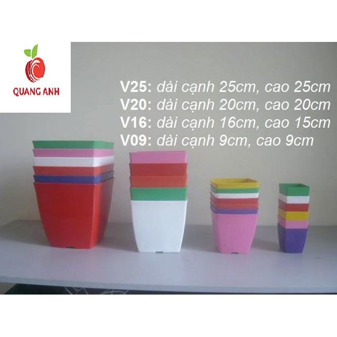 CHẬU NHỰA TRỒNG CÂY V9 - SET 10 CÁI