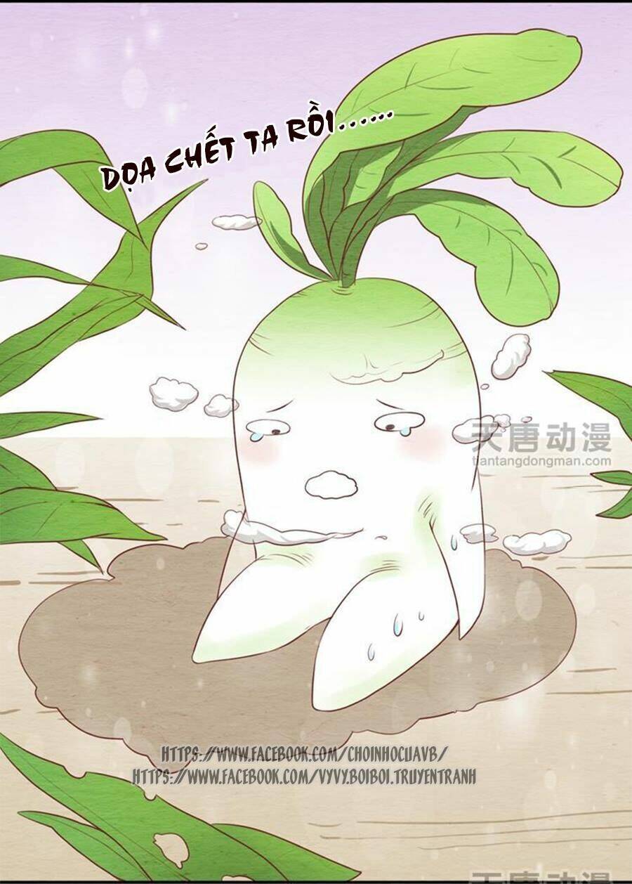 nhân hoa duyên chi sư phụ đại nhân cầu sủng ái chapter 5 22