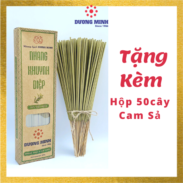 Nhang Khuynh Diệp Dương Minh 180cây nhang sạch 30cm 100% thành phần tự nhiên nhang thơm an toàn không hóa chất - nhang cây hương organic