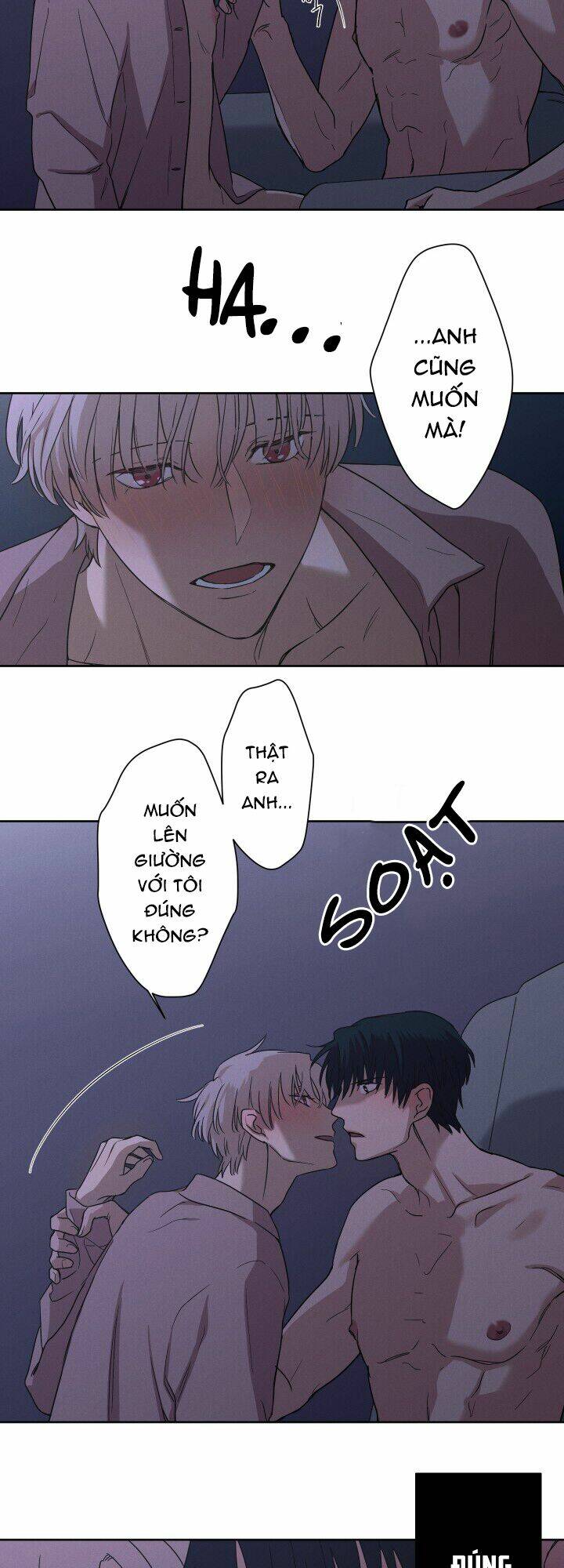 trốn tìm chapter 9 6