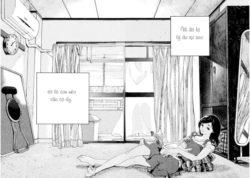 chú mèo và cô chủ chapter 1 7