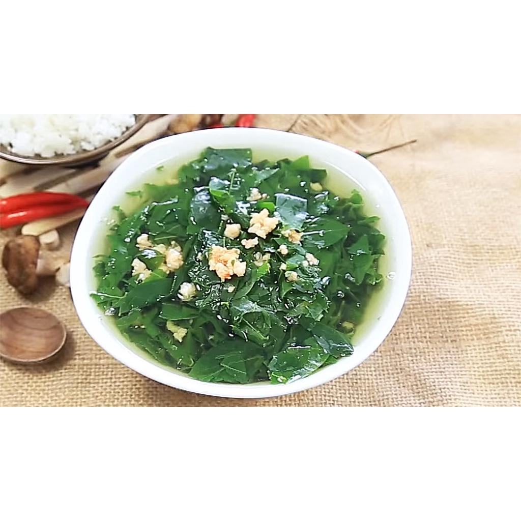 Hạt giống rau ngót, bồ ngót, năng suất cao dễ trồng dễ chăm sóc, nhanh thu hoạch