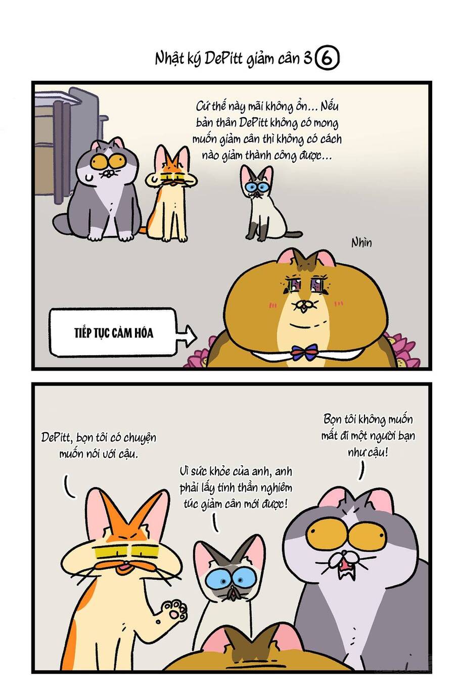 a mãn và mạch trà chapter 134.1 5