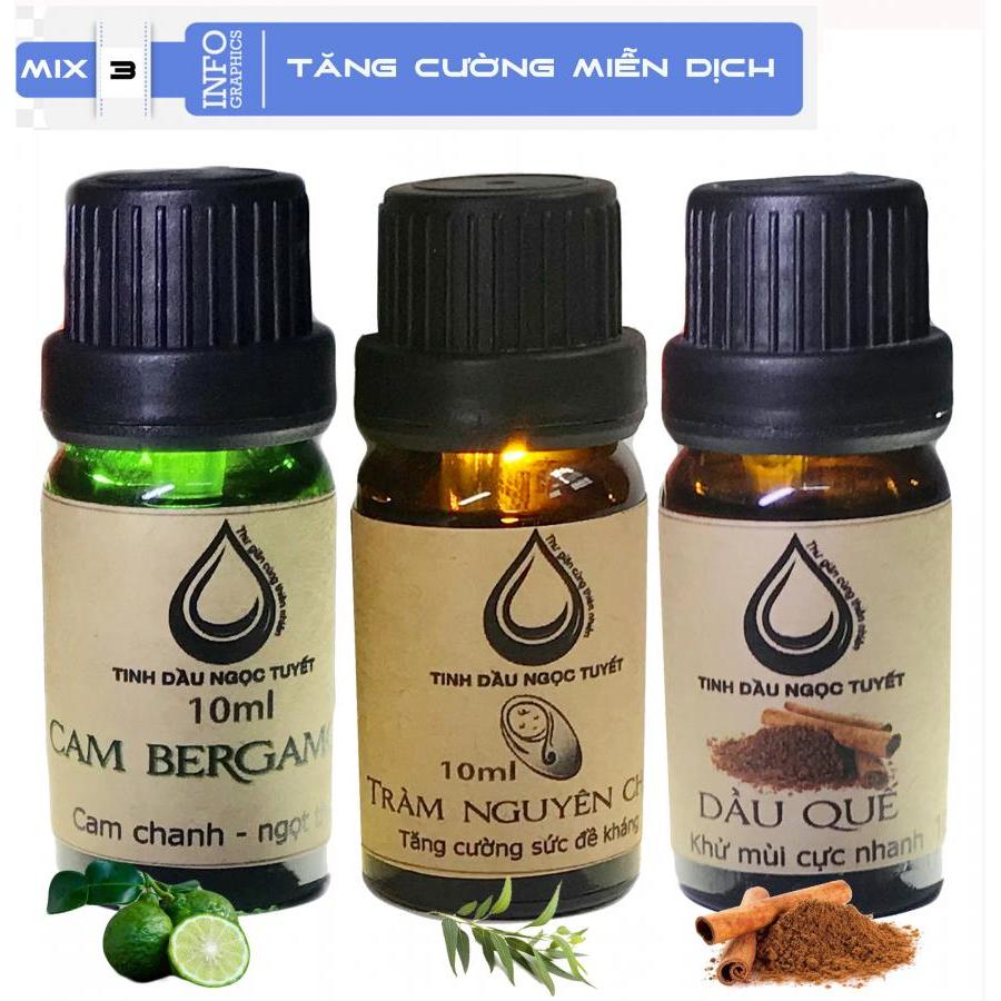 Bộ tinh dầu tạo khôn khí trong lành 10mlx3 (tràm, quế, cam begamot) Ngọc Tuyết