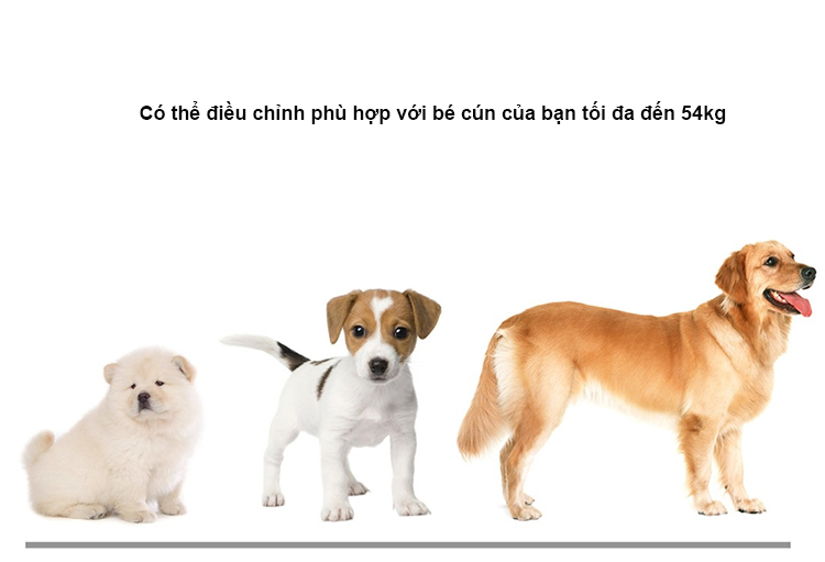 Dây đeo camera hành trình gắn lưng, bụng cho thú cưng Puluz PU156