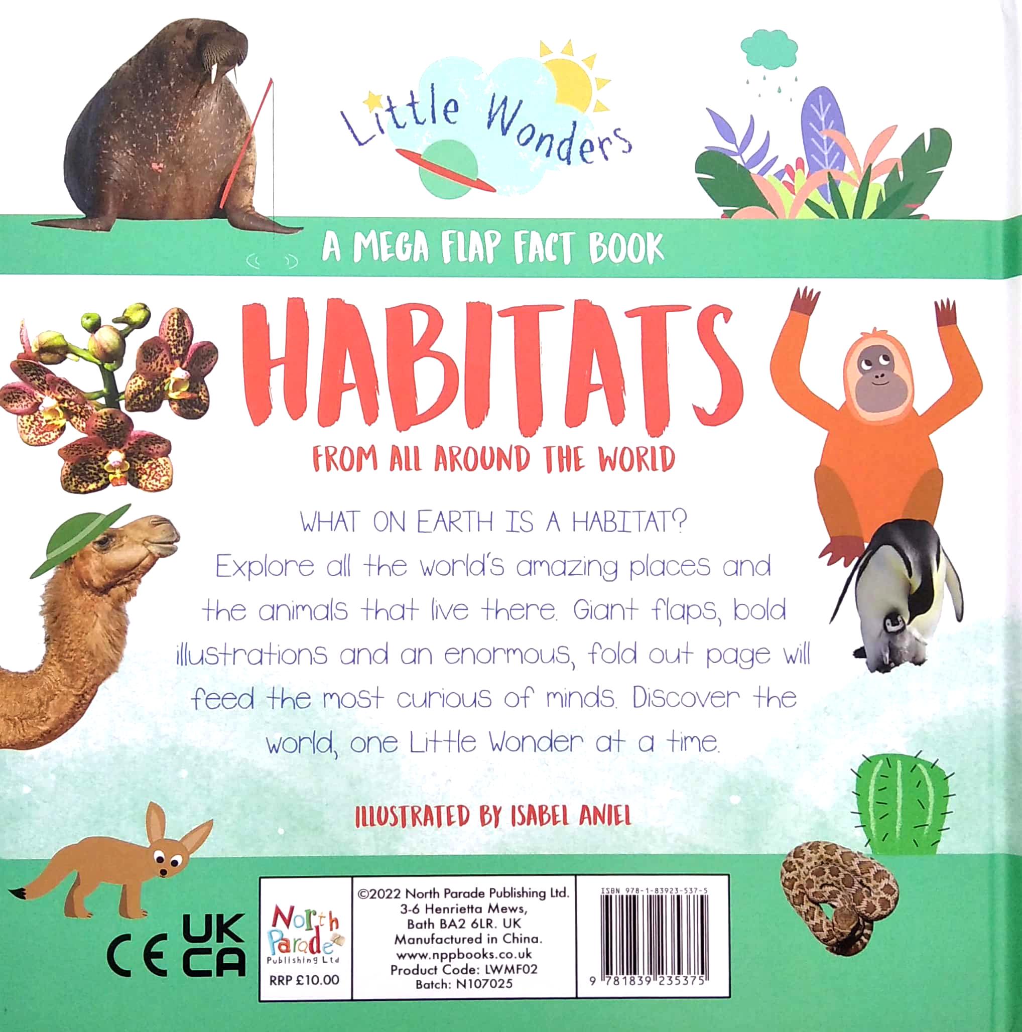 Little Wonders - Habitats - Multi-Flap