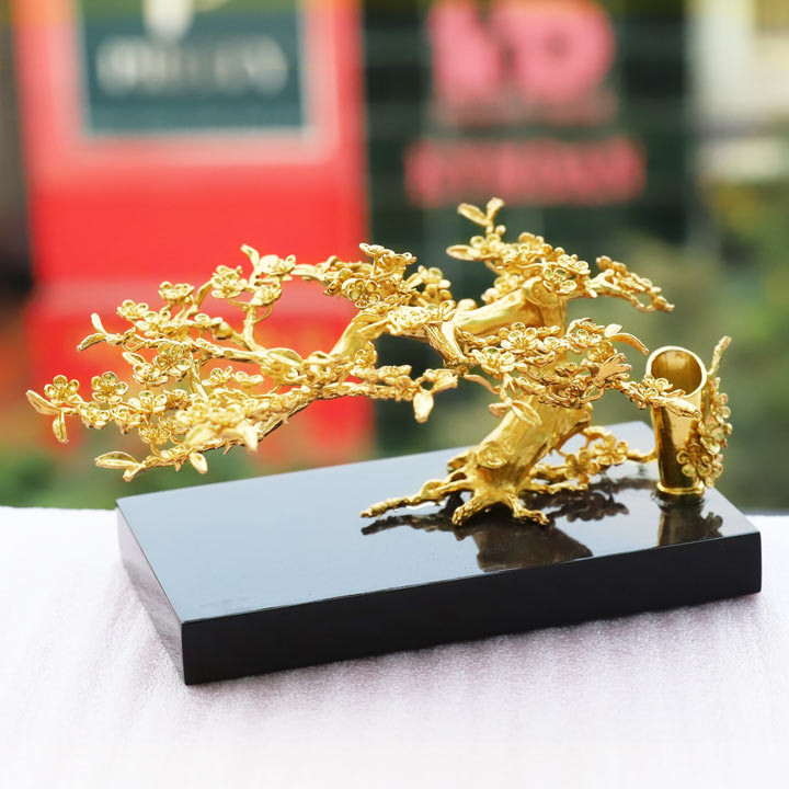 Cây hoa mai thế bonsai mạ vàng