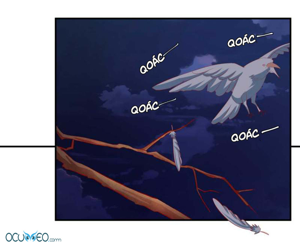 từ đây vương gia không thượng triều sớm chapter 55 5