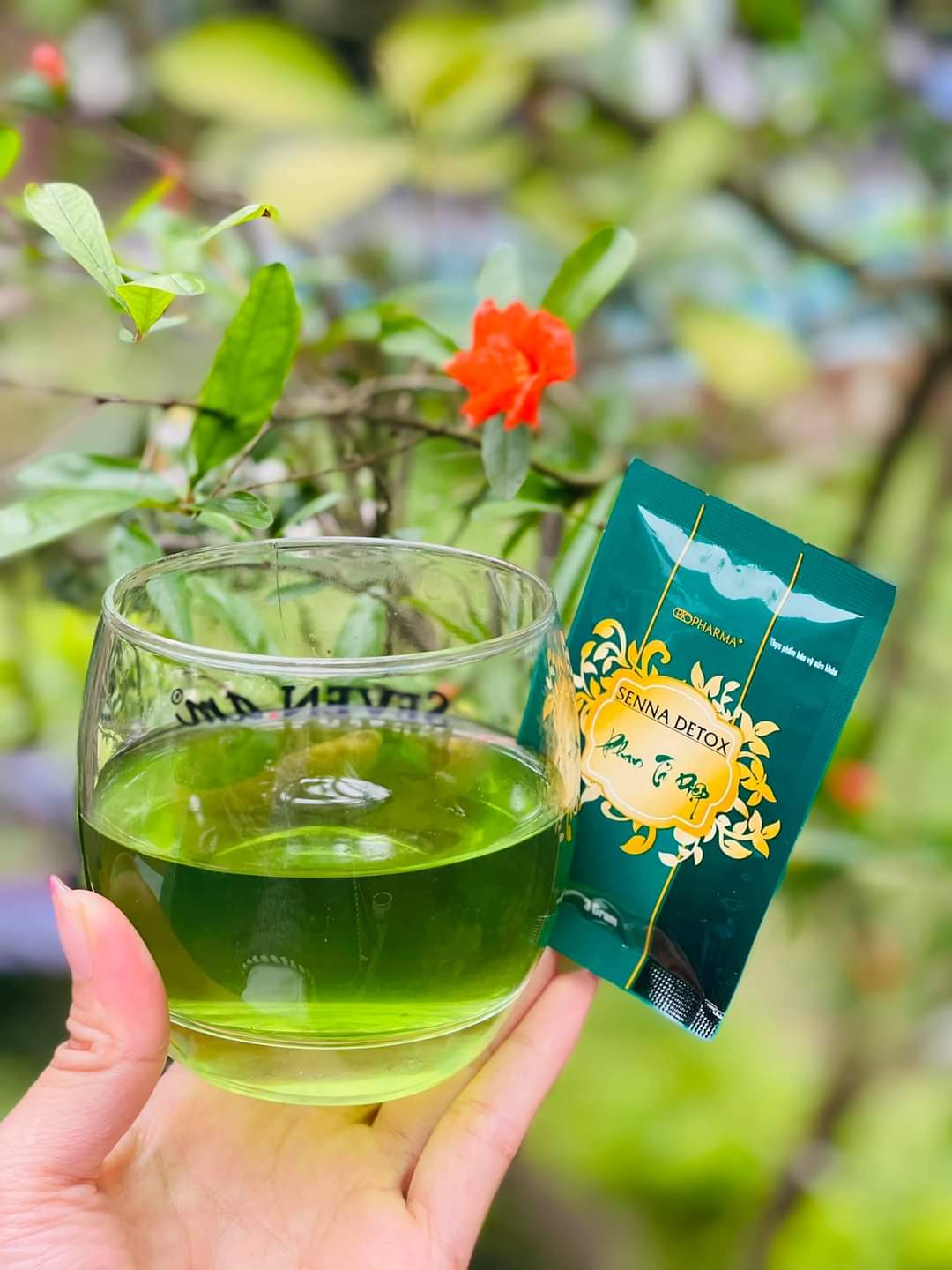 ]- Thải Độc Dạ Dày Phan Tả Diệp- Senna Detox- Pk Pharma-Dr Laicr