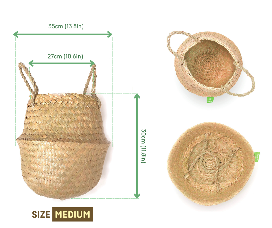 Giỏ chậu cây cỏ bàng - Green Joy