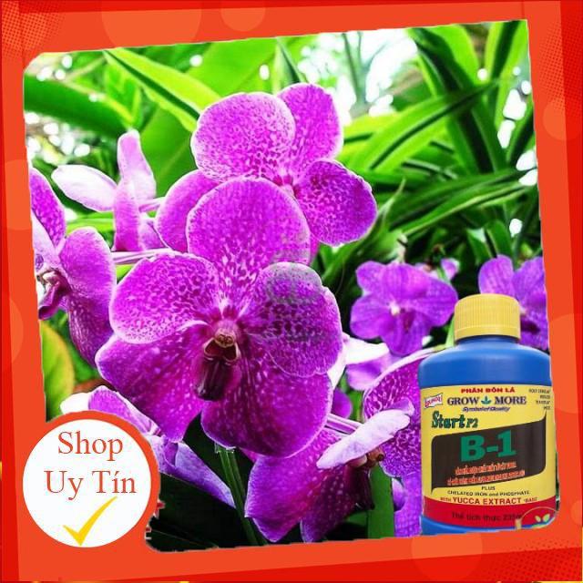 Phân Bón Lá Cao Cấp Vitamin B1 100ml Start