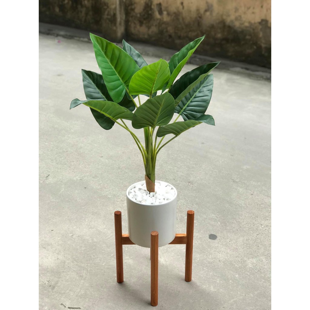 Chậu sứ trồng cây hình trụ trơn kèm đĩa hứng nước, men lạnh, nhiều màu sắc