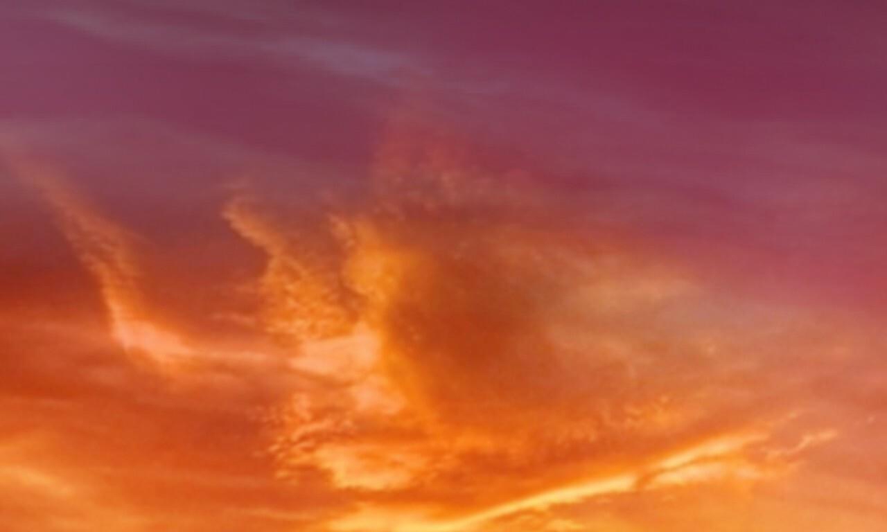 đàn thỏ của habibi chapter 42 187