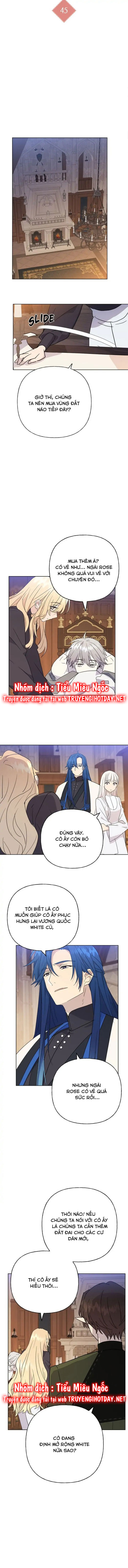 bình tĩnh nào, tiểu thư! chapter 45 8