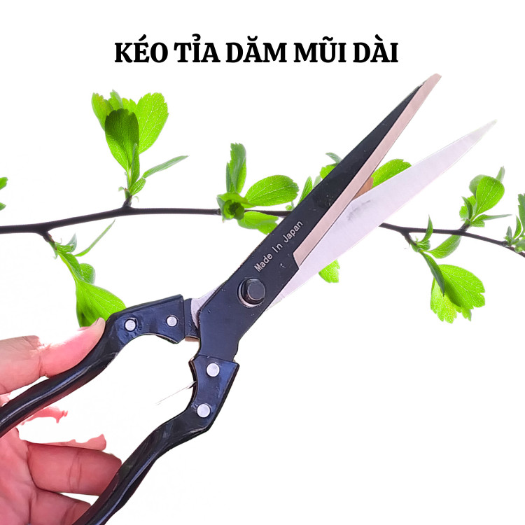 Kéo cắt tỉa cành cây SK5 kéo tỉa dăm thiết kế mũi nhọn đa chức năng dài 24-34cm