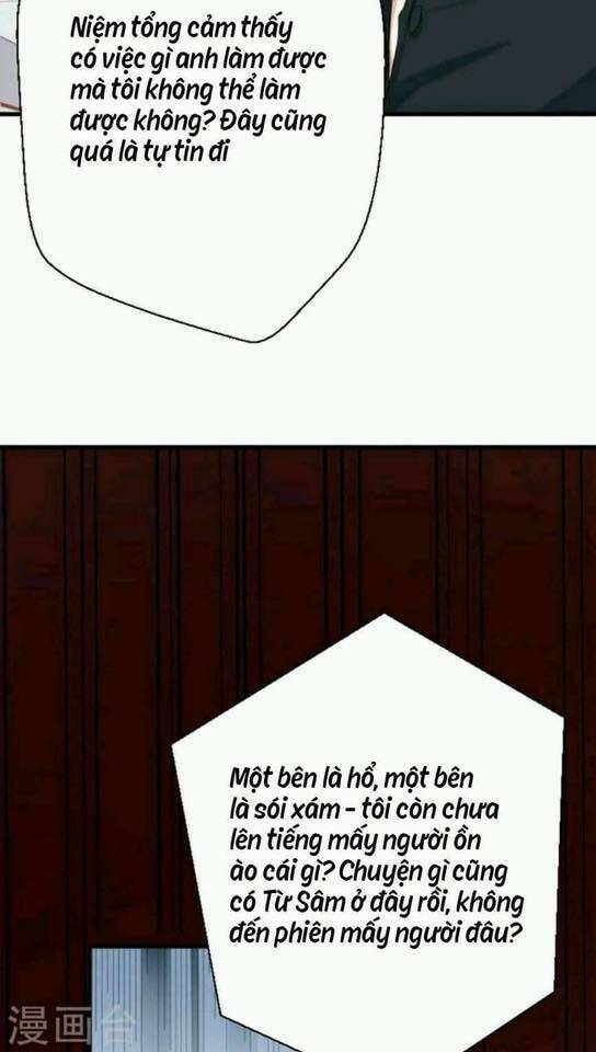 người vợ bí ẩn của tổng tài chapter 15 14