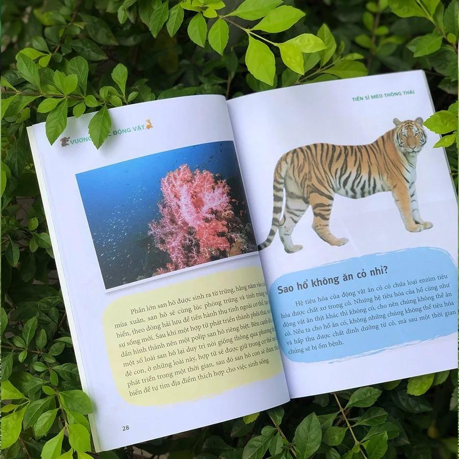 Tiến Sĩ Mèo Thông Thái  - Bản Quyền